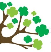 Team Page: Troop 15102